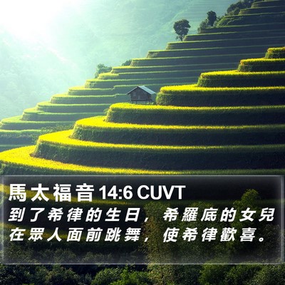 馬 太 福 音 14:6 CUVT Bible Verse Image