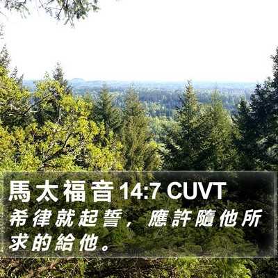 馬 太 福 音 14:7 CUVT Bible Verse Image
