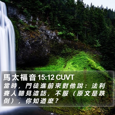 馬 太 福 音 15:12 CUVT Bible Verse Image