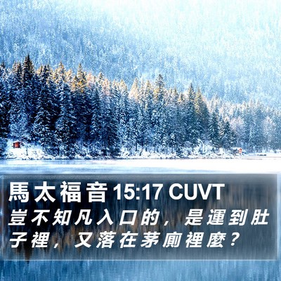 馬 太 福 音 15:17 CUVT Bible Verse Image
