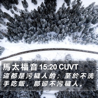 馬 太 福 音 15:20 CUVT Bible Verse Image
