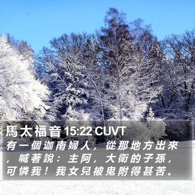 馬 太 福 音 15:22 CUVT Bible Verse Image
