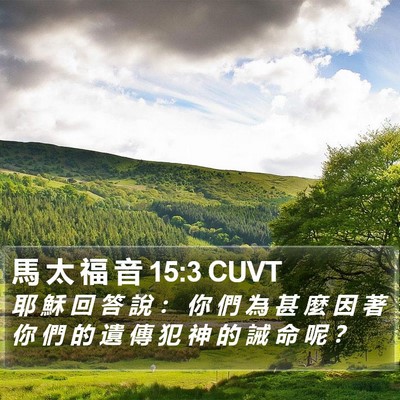 馬 太 福 音 15:3 CUVT Bible Verse Image