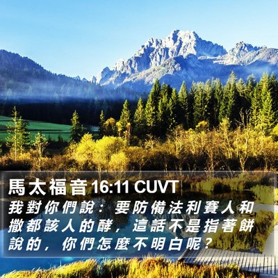 馬 太 福 音 16:11 CUVT Bible Verse Image
