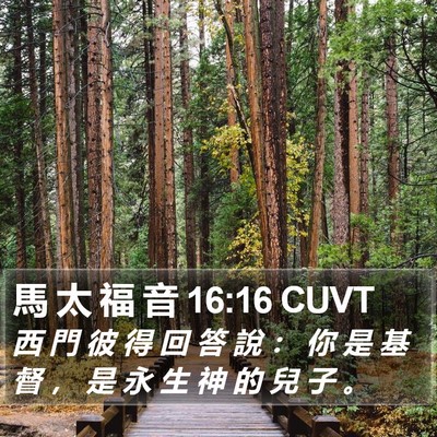 馬 太 福 音 16:16 CUVT Bible Verse Image