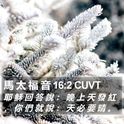 馬 太 福 音 16:2 CUVT Bible Verse Image