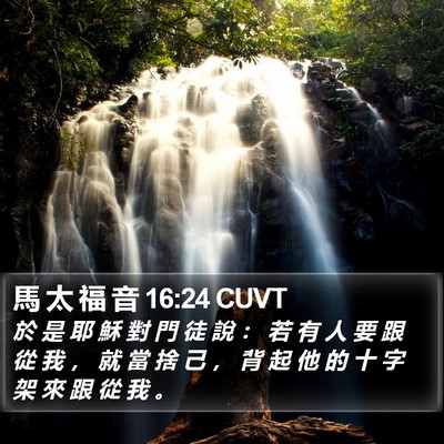 馬 太 福 音 16:24 CUVT Bible Verse Image