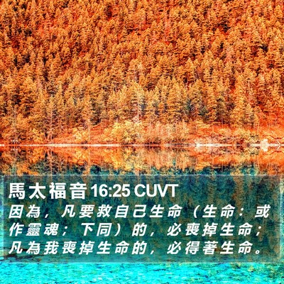 馬 太 福 音 16:25 CUVT Bible Verse Image