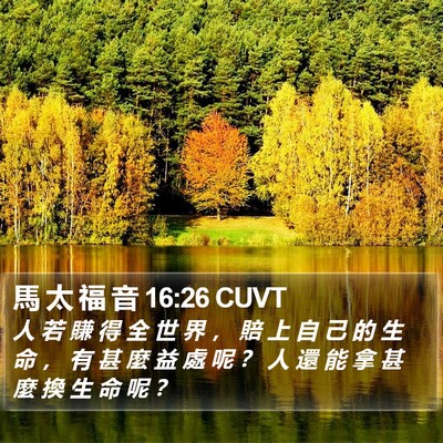 馬 太 福 音 16:26 CUVT Bible Verse Image
