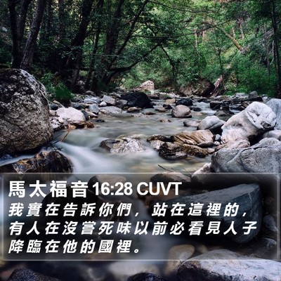 馬 太 福 音 16:28 CUVT Bible Verse Image