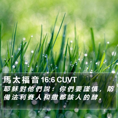 馬 太 福 音 16:6 CUVT Bible Verse Image