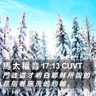 馬 太 福 音 17:13 CUVT Bible Verse Image