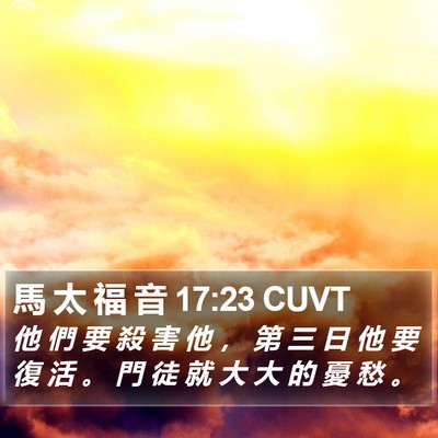 馬 太 福 音 17:23 CUVT Bible Verse Image