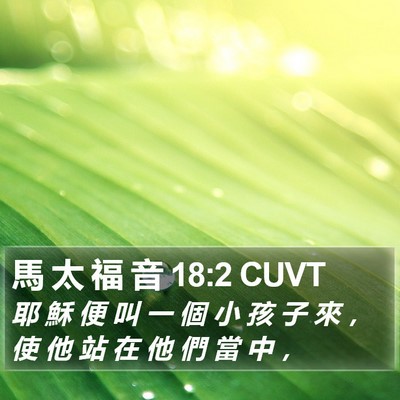 馬 太 福 音 18:2 CUVT Bible Verse Image