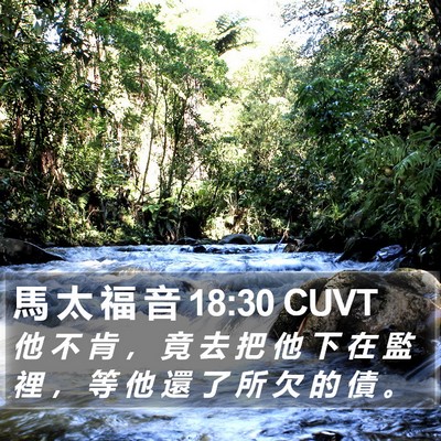 馬 太 福 音 18:30 CUVT Bible Verse Image