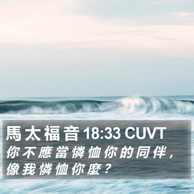 馬 太 福 音 18:33 CUVT Bible Verse Image