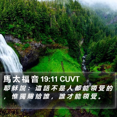 馬 太 福 音 19:11 CUVT Bible Verse Image