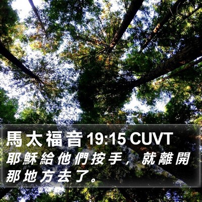 馬 太 福 音 19:15 CUVT Bible Verse Image