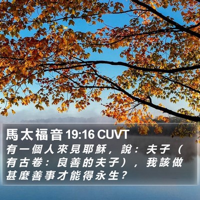 馬 太 福 音 19:16 CUVT Bible Verse Image