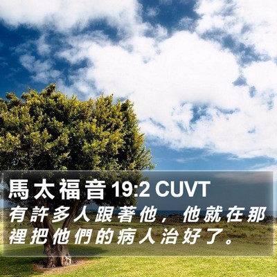 馬 太 福 音 19:2 CUVT Bible Verse Image