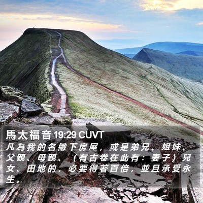 馬 太 福 音 19:29 CUVT Bible Verse Image