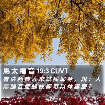 馬 太 福 音 19:3 CUVT Bible Verse Image