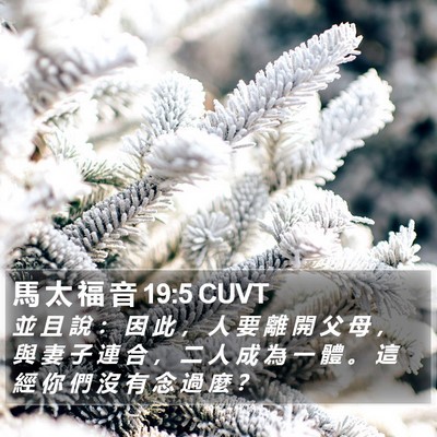 馬 太 福 音 19:5 CUVT Bible Verse Image