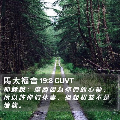 馬 太 福 音 19:8 CUVT Bible Verse Image