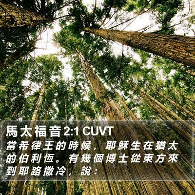 馬 太 福 音 2:1 CUVT Bible Verse Image