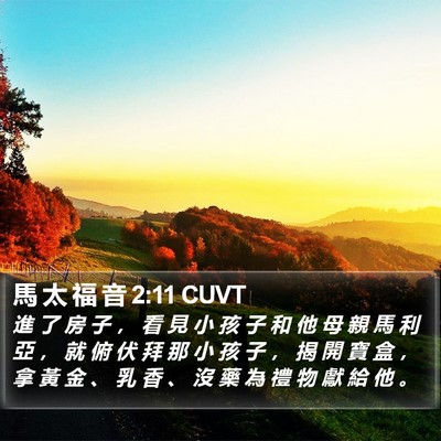 馬 太 福 音 2:11 CUVT Bible Verse Image