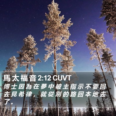 馬 太 福 音 2:12 CUVT Bible Verse Image