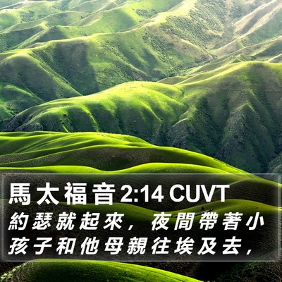 馬 太 福 音 2:14 CUVT Bible Verse Image