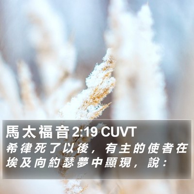 馬 太 福 音 2:19 CUVT Bible Verse Image