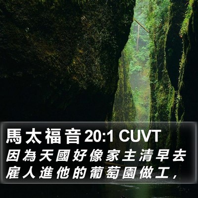 馬 太 福 音 20:1 CUVT Bible Verse Image