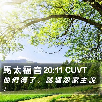馬 太 福 音 20:11 CUVT Bible Verse Image