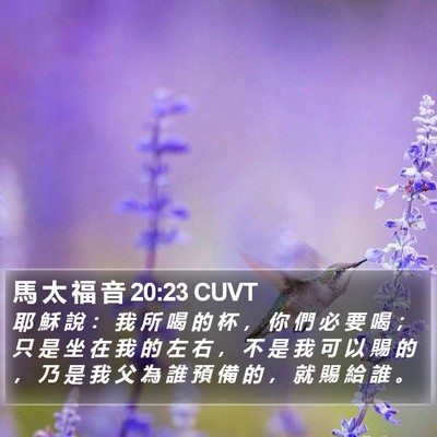 馬 太 福 音 20:23 CUVT Bible Verse Image