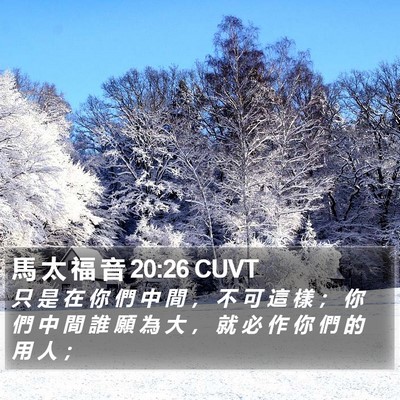 馬 太 福 音 20:26 CUVT Bible Verse Image