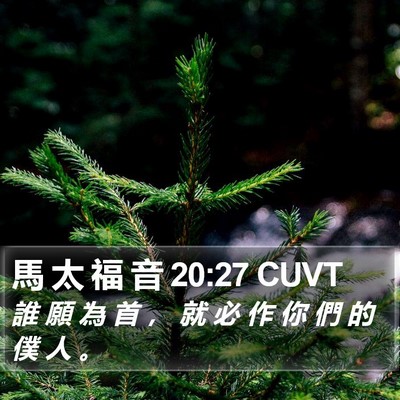 馬 太 福 音 20:27 CUVT Bible Verse Image