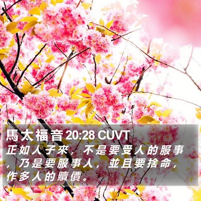 馬 太 福 音 20:28 CUVT Bible Verse Image