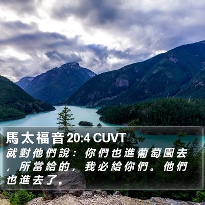 馬 太 福 音 20:4 CUVT Bible Verse Image