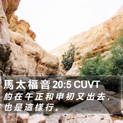 馬 太 福 音 20:5 CUVT Bible Verse Image