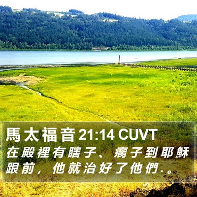 馬 太 福 音 21:14 CUVT Bible Verse Image