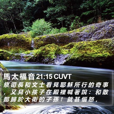 馬 太 福 音 21:15 CUVT Bible Verse Image