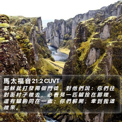 馬 太 福 音 21:2 CUVT Bible Verse Image