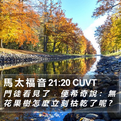 馬 太 福 音 21:20 CUVT Bible Verse Image