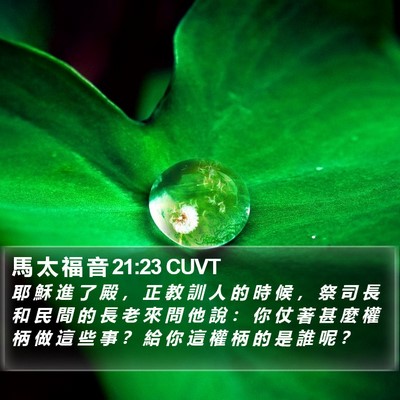 馬 太 福 音 21:23 CUVT Bible Verse Image
