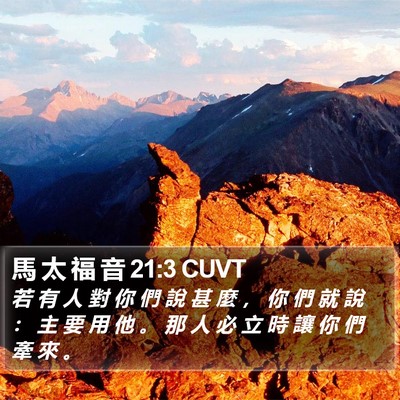馬 太 福 音 21:3 CUVT Bible Verse Image
