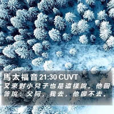 馬 太 福 音 21:30 CUVT Bible Verse Image