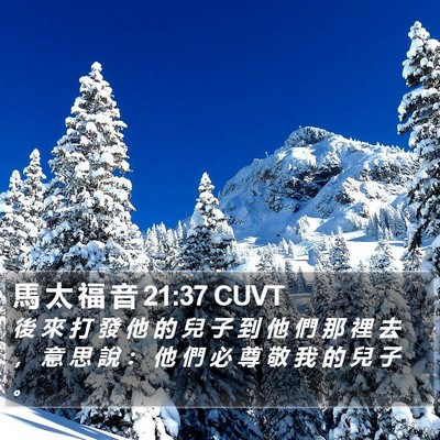馬 太 福 音 21:37 CUVT Bible Verse Image