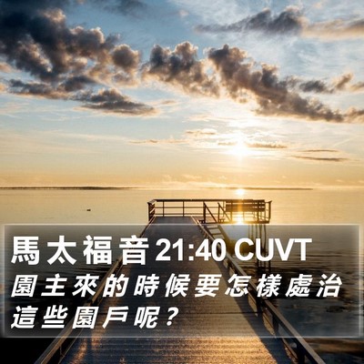 馬 太 福 音 21:40 CUVT Bible Verse Image
